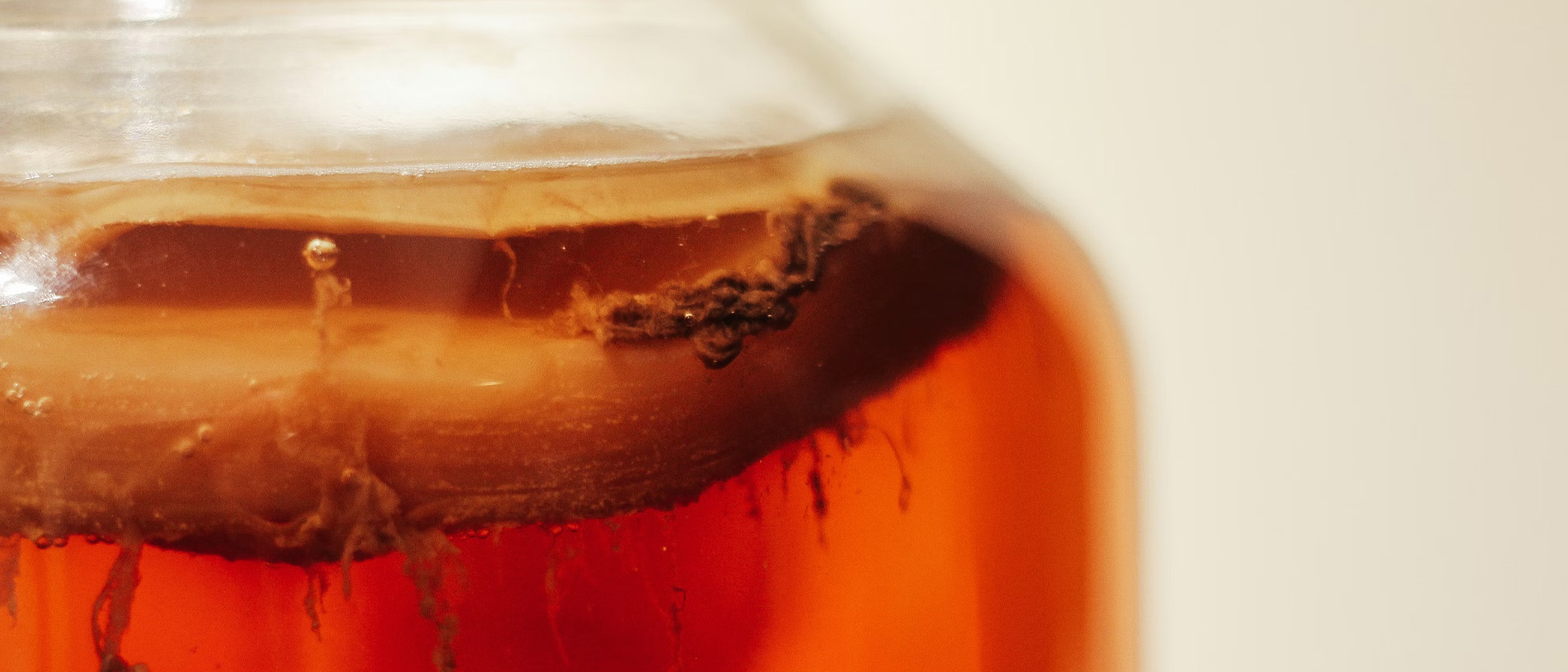 kombucha historie a přínosy